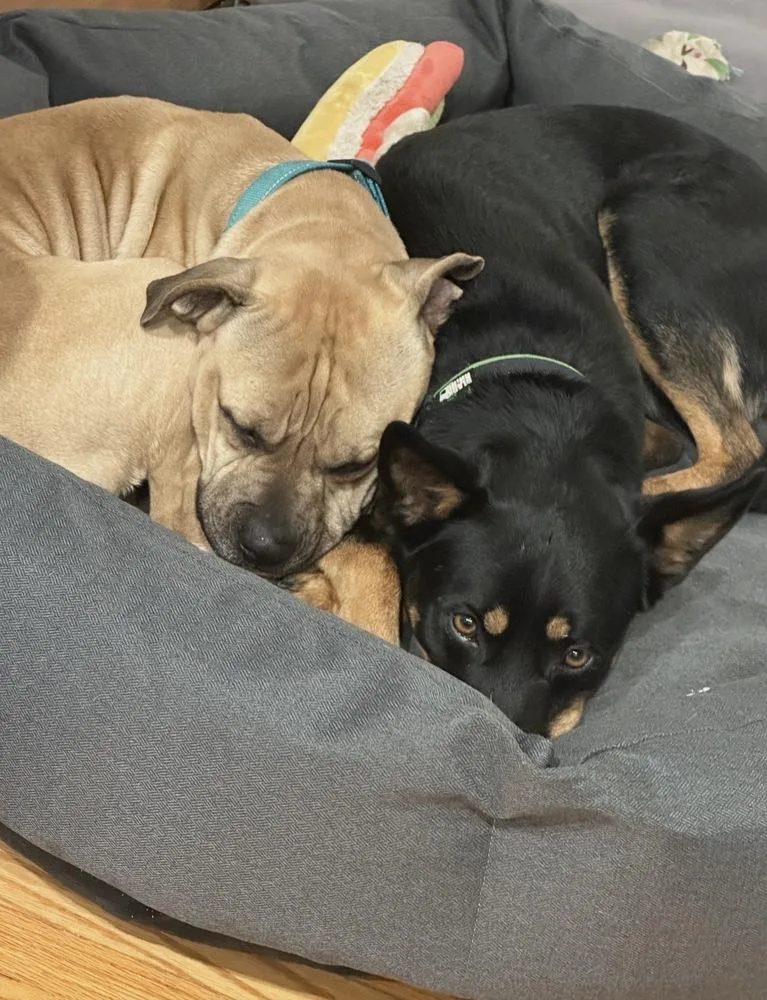 Jaxlil Bill thumbnail 5