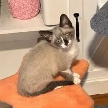 Spicy Queso