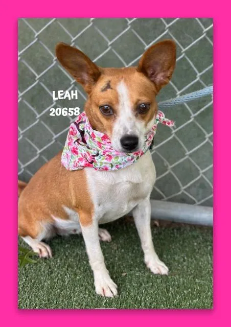 Leah thumbnail 5