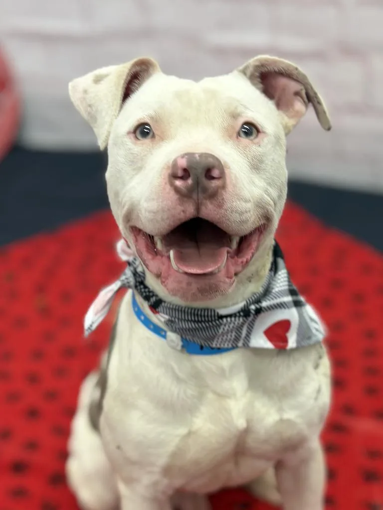 Tiny Hopper thumbnail 2