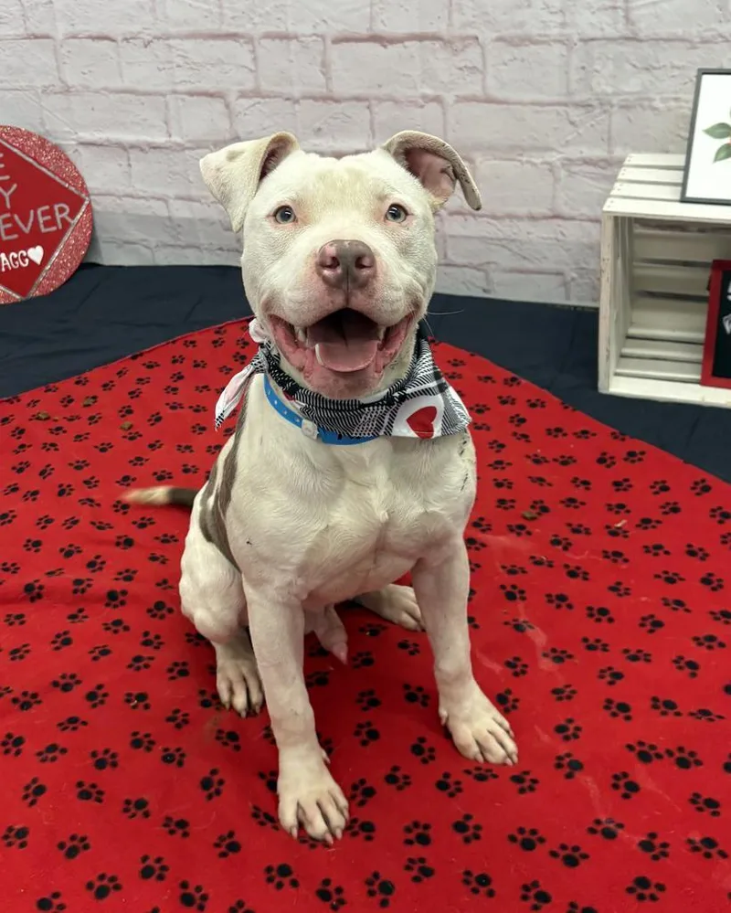 Tiny Hopper thumbnail 3