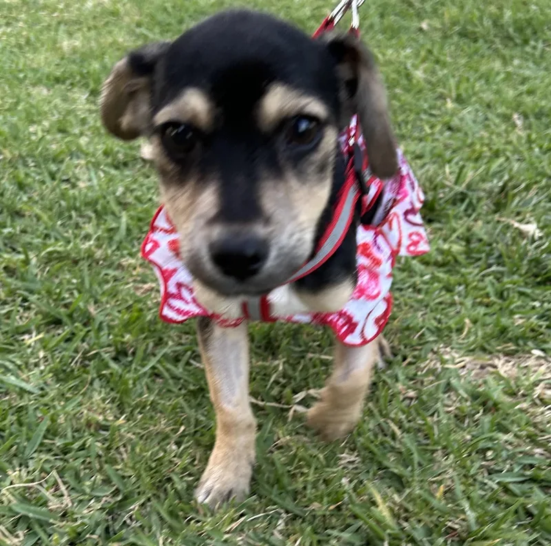 Minnie