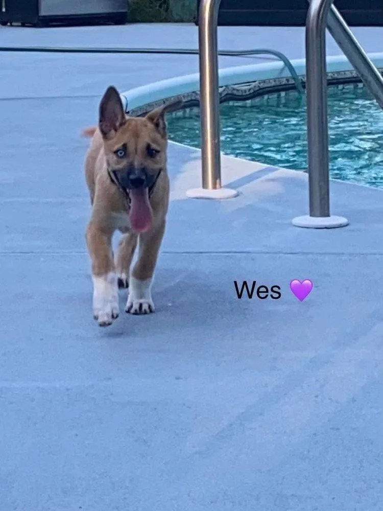 Wes thumbnail 3