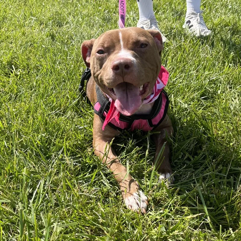 Nelly thumbnail 2