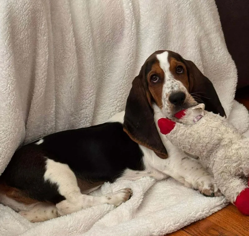 Benny