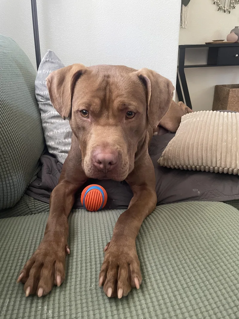 Fillmore