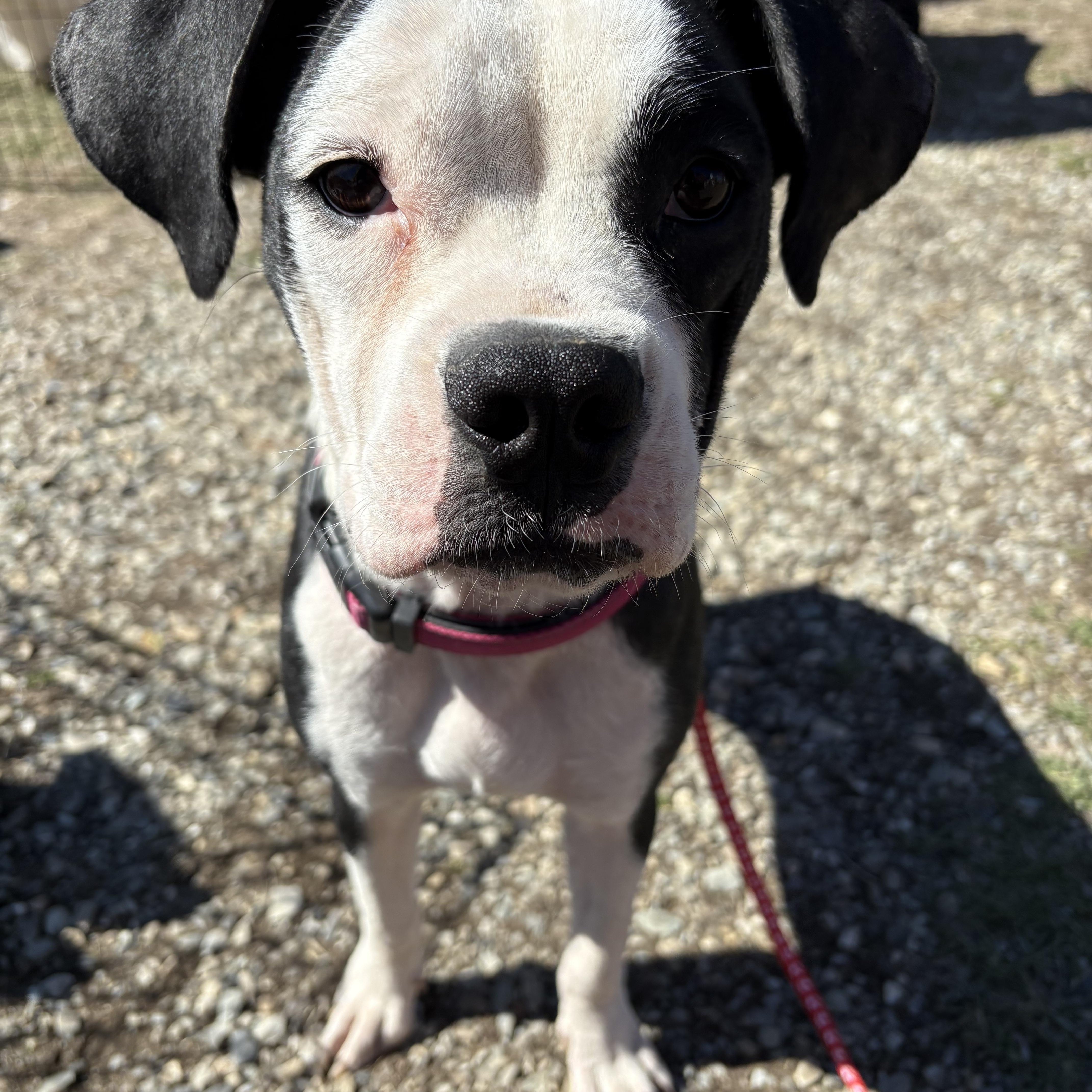 Lisa Griffin thumbnail 2