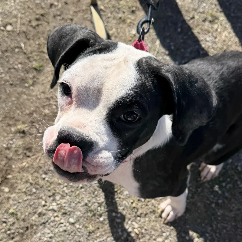 Lisa Griffin thumbnail 5