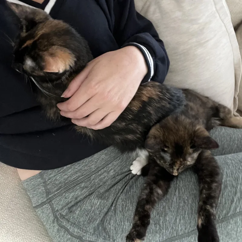 Mirabelle and Joelle thumbnail 5
