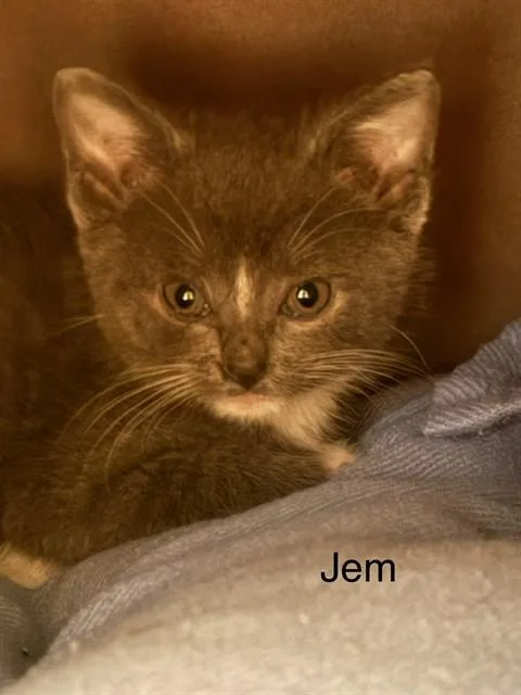 Jem
