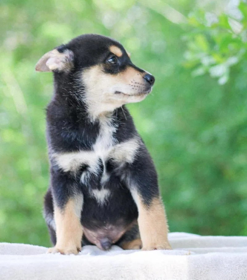 Dr. Langdon thumbnail 2