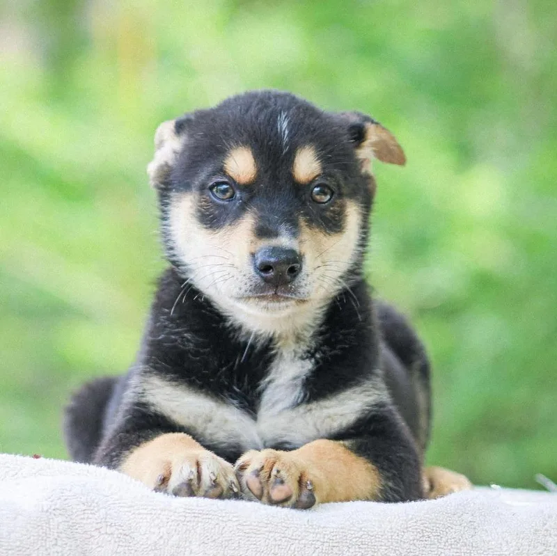 Dr. Langdon thumbnail 3