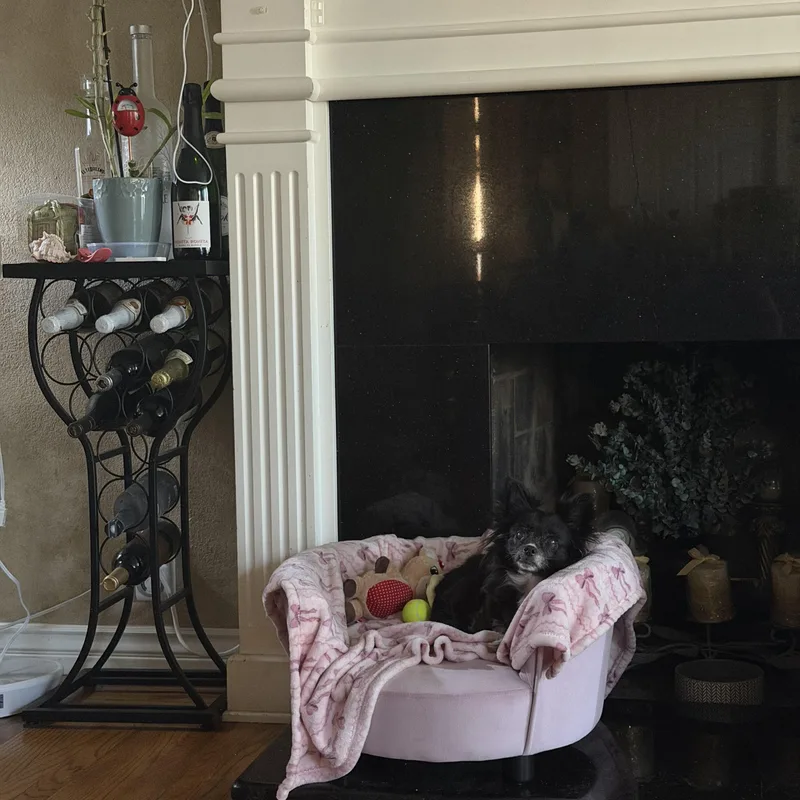 Bella And Peanut thumbnail 2