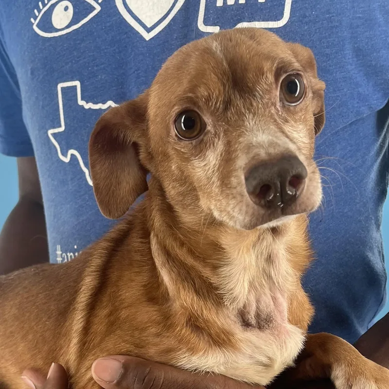 Leroy  Local April thumbnail 2