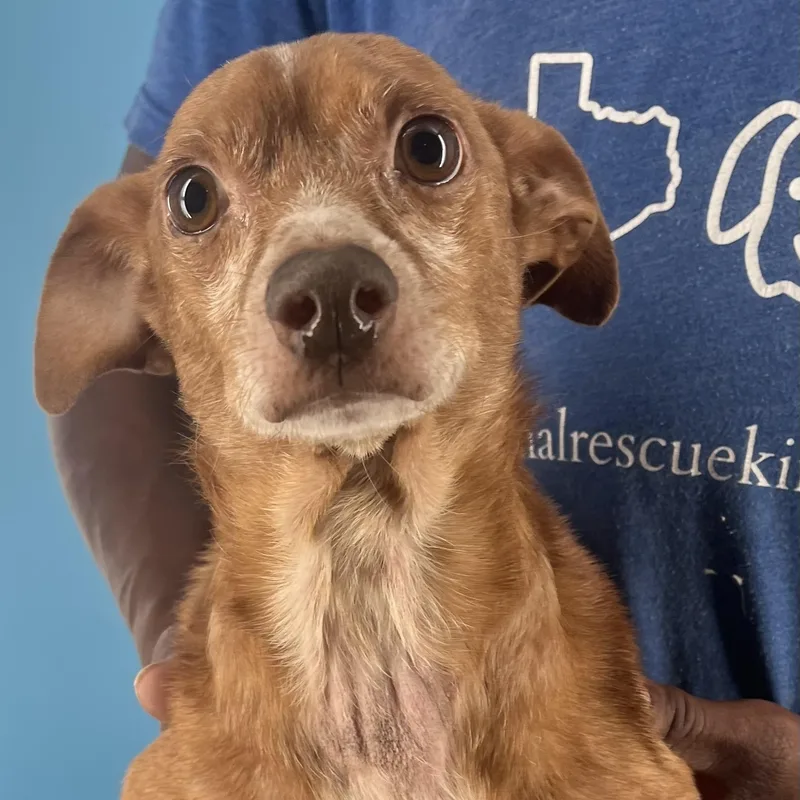 Leroy  Local April thumbnail 3