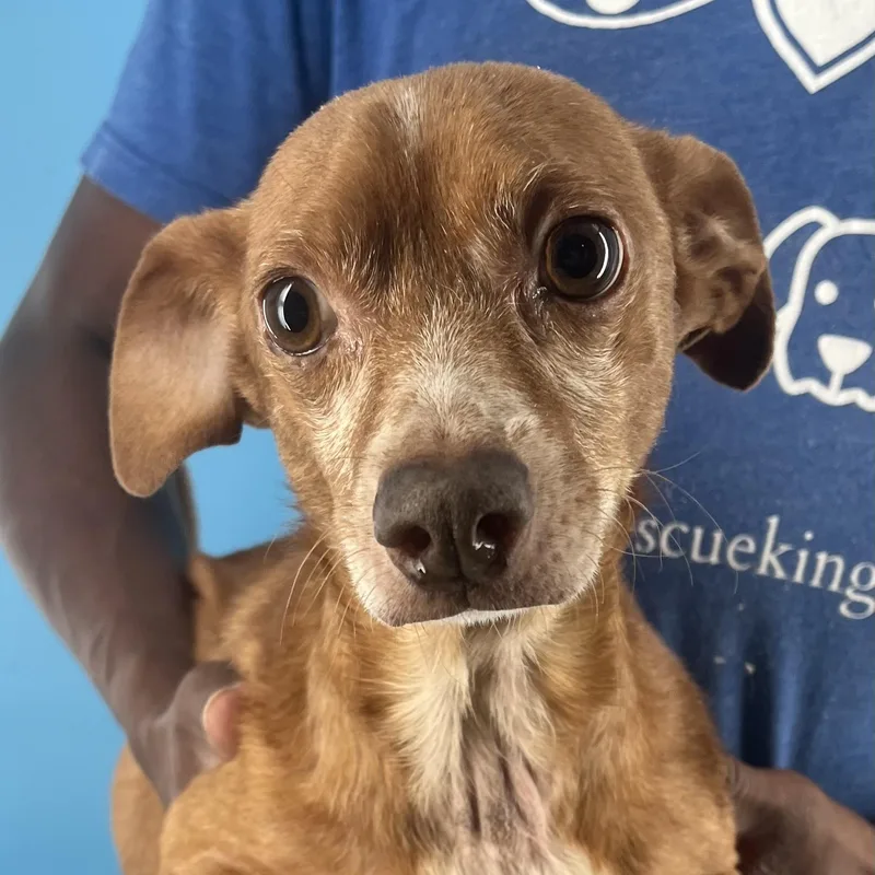 Leroy  Local April thumbnail 4