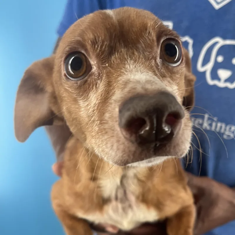 Leroy  Local April thumbnail 5