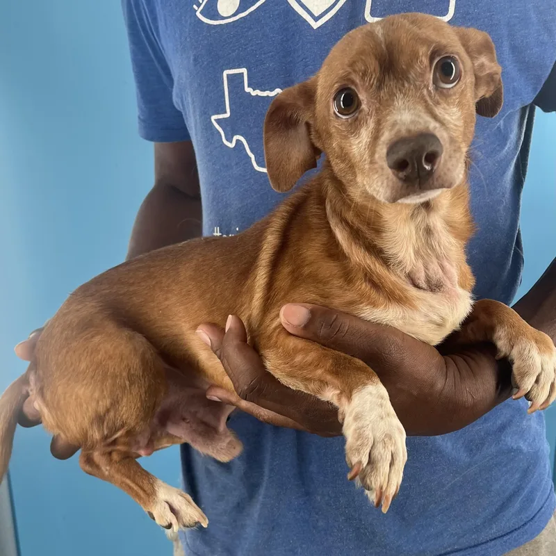 Leroy  Local April thumbnail 6