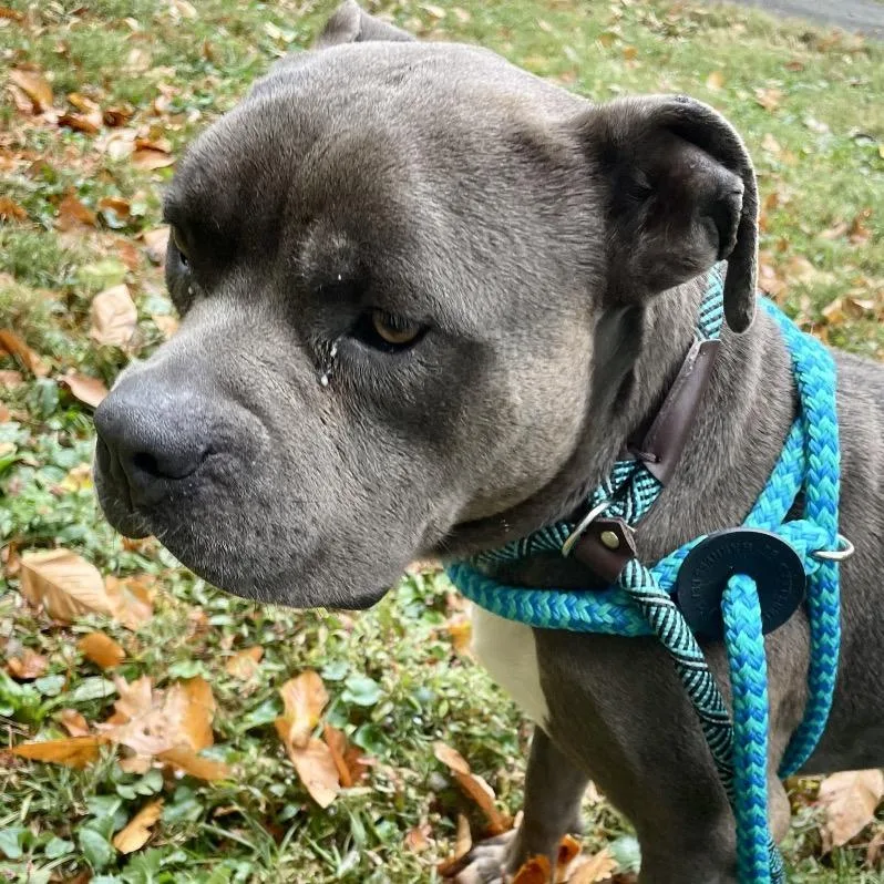 Vibe Check thumbnail 3