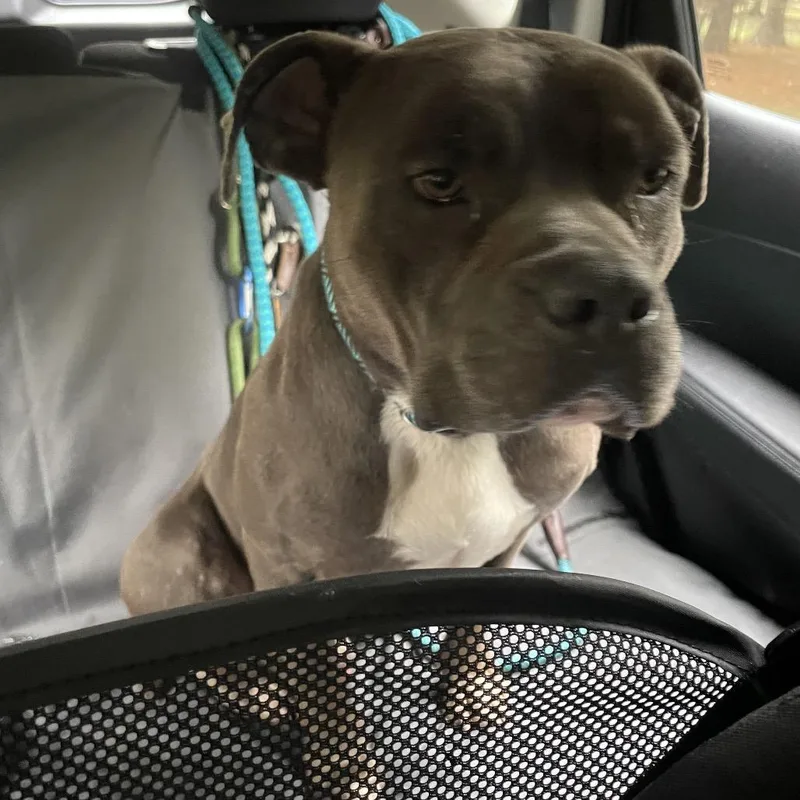 Vibe Check thumbnail 4