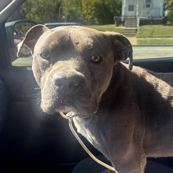 Vibe Check thumbnail 5