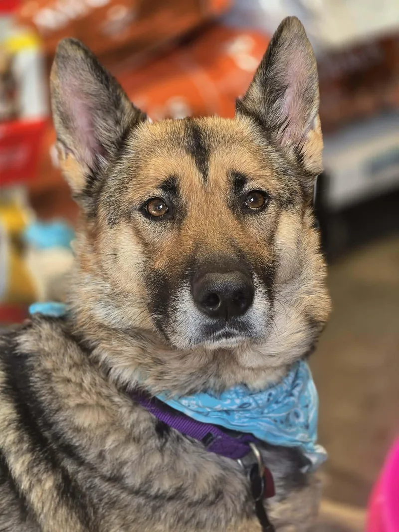 Bella