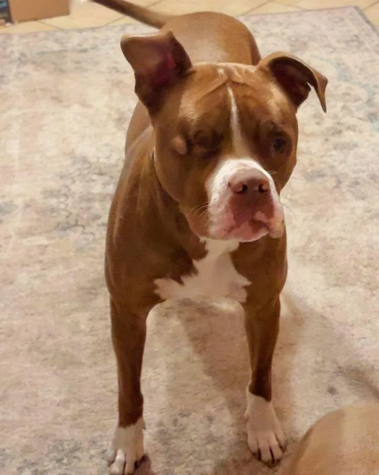 Angelic Aka Angel thumbnail 3