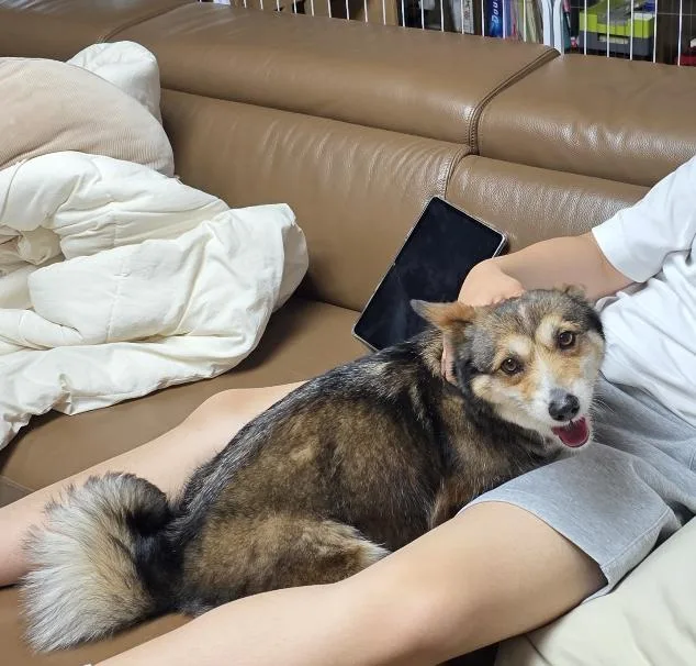 Dana thumbnail 4