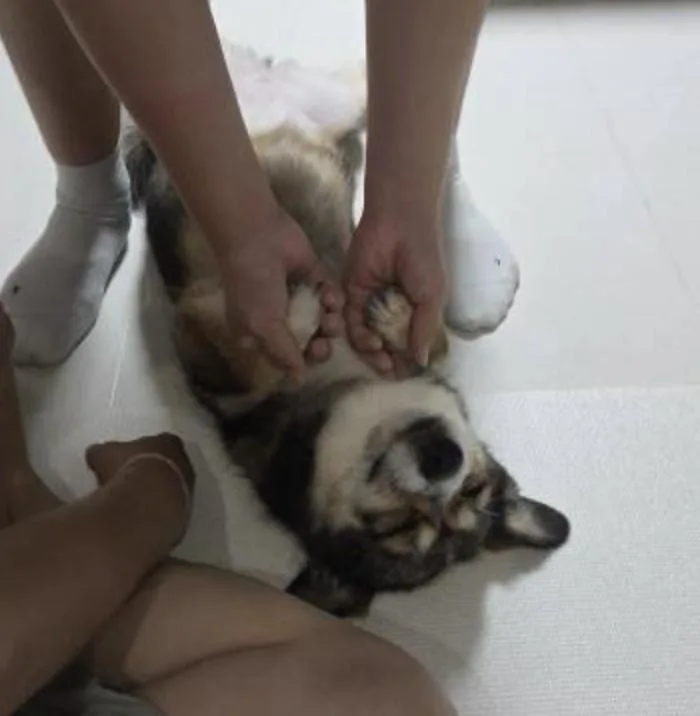 Dana thumbnail 6