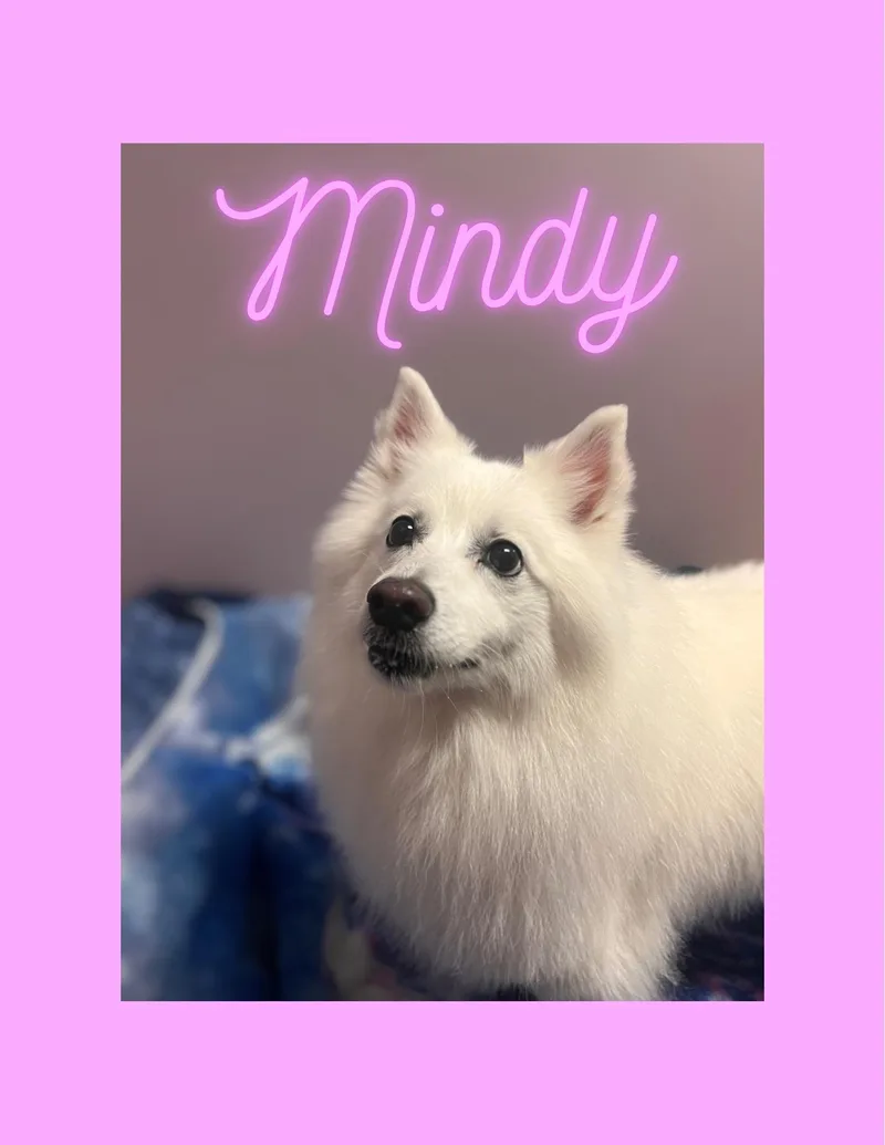 Mindy  Special Needs thumbnail 2