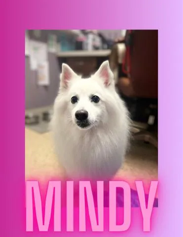 Mindy  Special Needs thumbnail 3