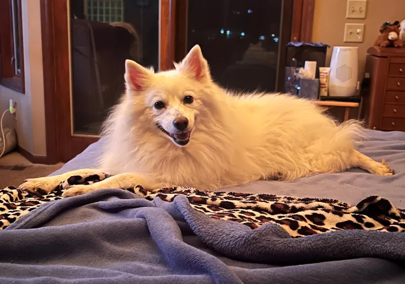 Mindy  Special Needs thumbnail 5