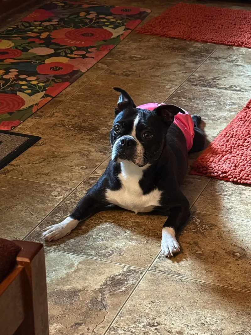 Twila In Ks thumbnail 4