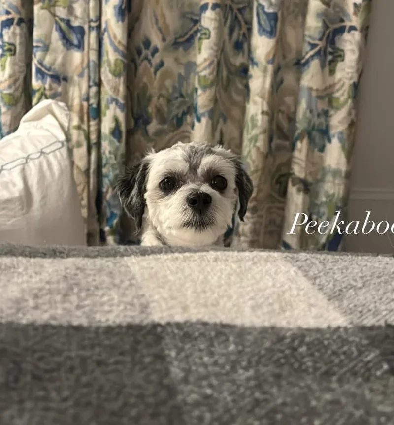 Martha thumbnail 2