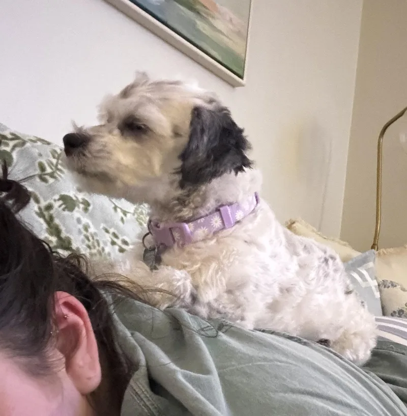 Martha thumbnail 4