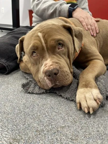 Tinkerbell thumbnail 2