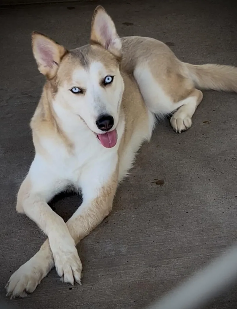 Luna