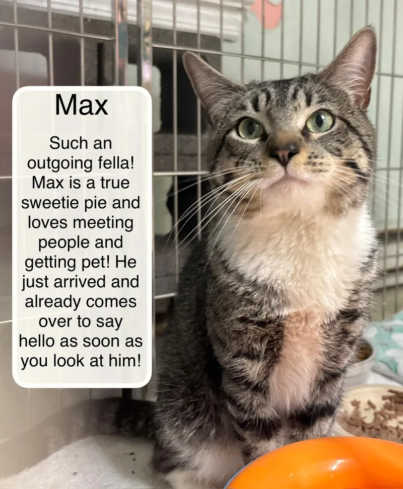 Max