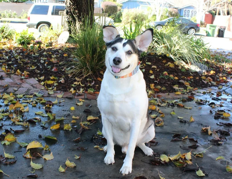 Mookie  SuPeR SweeeT thumbnail 3