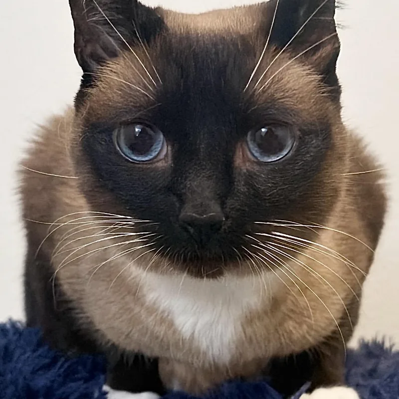 Maggie thumbnail 6