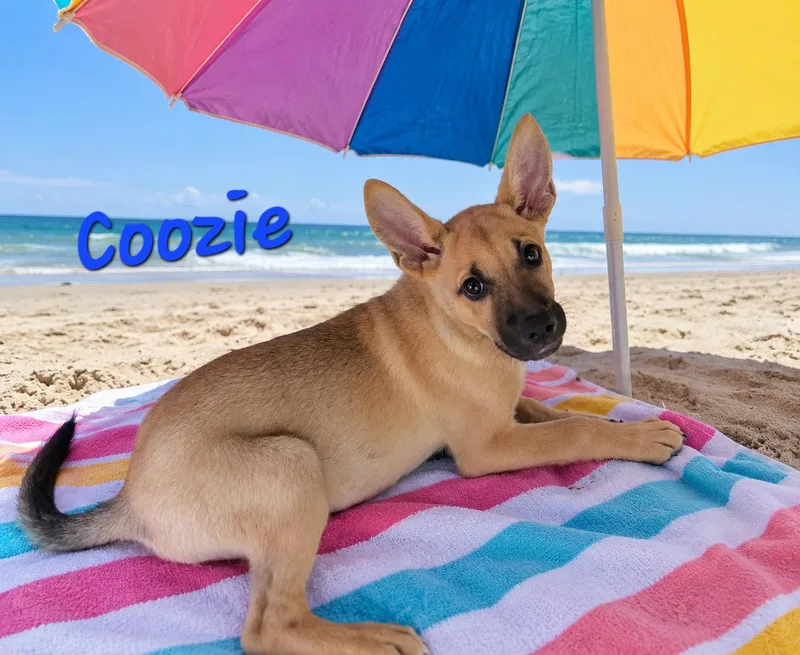 Coozie thumbnail 3