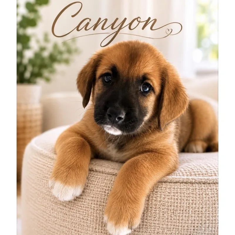 Canyon