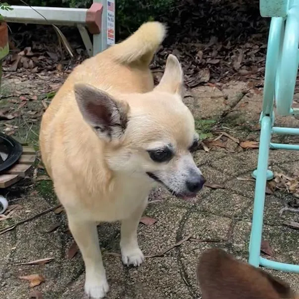 Beverly thumbnail 4