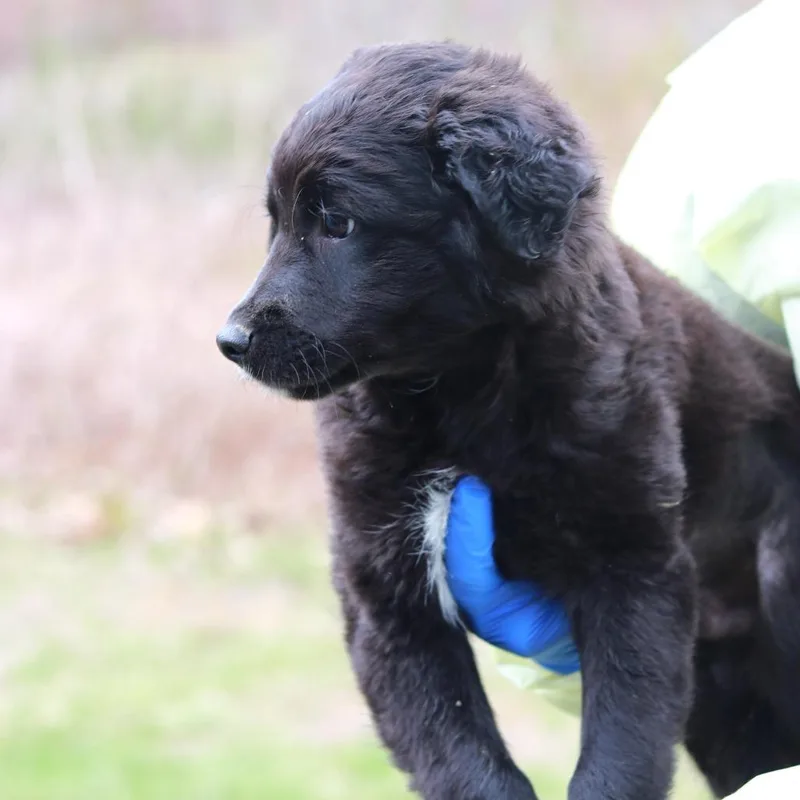 Ct Spencer thumbnail 2