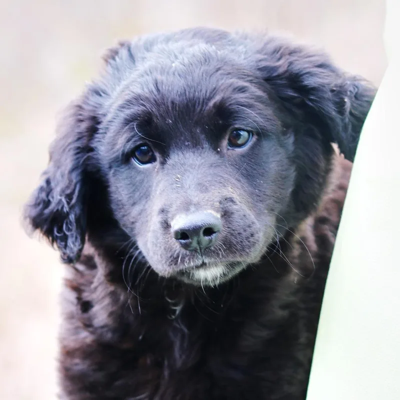 Ct Spencer thumbnail 4