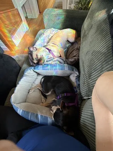 Rita thumbnail 4