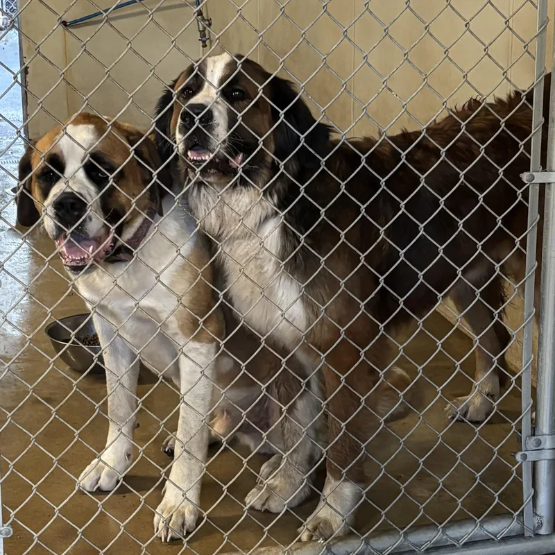 Otis & Bourbon thumbnail 3