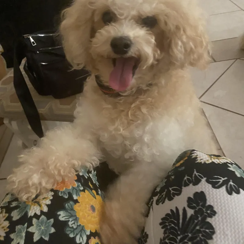 Barry
