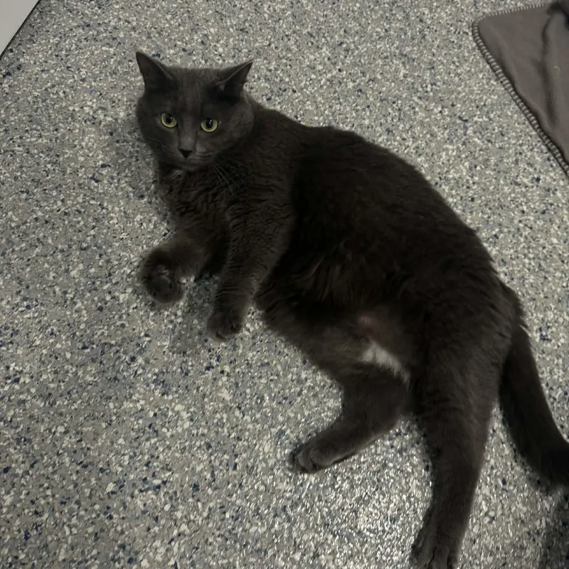 Squirmie thumbnail 2