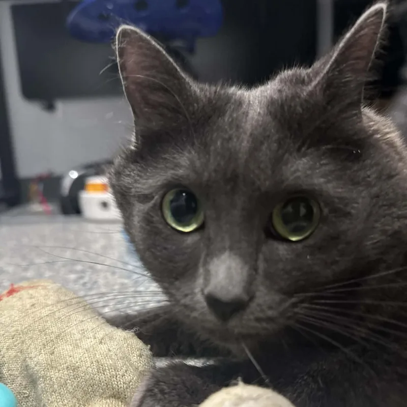 Squirmie thumbnail 3